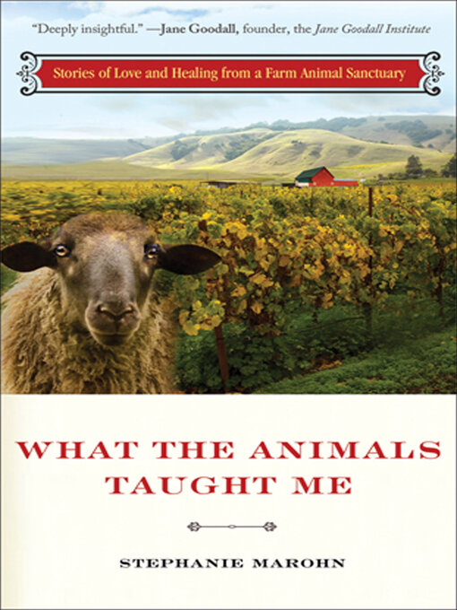 Title details for What the Animals Taught Me by Stephanie Marohn - Available